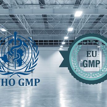 Khi nào nên dùng WHO-GMP thay vì EU-GMP?